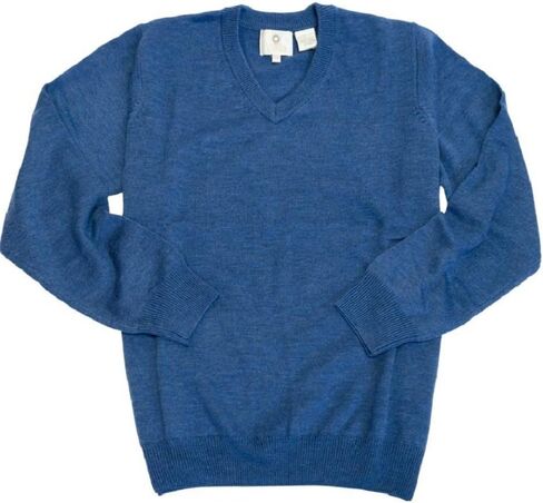 Viyella Men's Solid V-Neck Merino Wool Sweater in Saudi Arabia