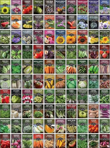 مجموعة بذور Survival Garden Home Garden - 30 عبوة تحتوي على 18,500+ خضروات غير معدلة وراثيًا وفواكه وبذور أعشاب للزراعة - زراعة ونمو أغذية البقاء على قيد الحياة ومعدات الاستعداد للطوارئ in Kuwait
