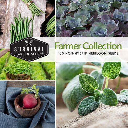 مجموعة بذور Survival Garden Home Garden - 30 عبوة تحتوي على 18,500+ خضروات غير معدلة وراثيًا وفواكه وبذور أعشاب للزراعة - زراعة ونمو أغذية البقاء على قيد الحياة ومعدات الاستعداد للطوارئ in Kuwait