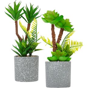 Assorted Small Potted Succulent Plants Artificial Succulent Plant Bonsai High-end Gray Potted Gifts Table Frame Window Sill Indoor and Outdoor Green Plant Decoration