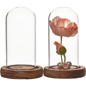 SUNNYCLUE 2Pcs Glass Dome Cover 82x133mm Glass Display Dome Glass Domes with Wood Base Glass Dome Cloche Clear Glass Display Case Glass Bottle Jars for Home Party Favors Arts Wedding Gift DIY Craft