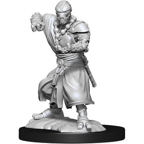 D&D Nolzur's Marvelous Miniatures: Warforged Monk