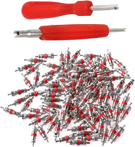 مجموعة أدوات إصلاح الإطارات 2 في 1 من لانتي مع مزيلات أساسية للصمام و100 نواة جذعية بديلة للصمام - مثالية للسيارات والشاحنات والدراجات النارية والمزيد in Kuwait