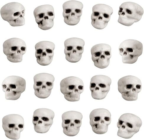 20 قطعة من جماجم الهالوين ذات مظهر واقعي، رؤوس جماجم صغيرة مخيفة للهالوين هيكل عظمي بشري جمجمة رأس جمجمة بلاستيكية لحفلات الهالوين ديكور طاولة المقبرة، منزل مسكون، لوازم صور الدعامة in Kuwait