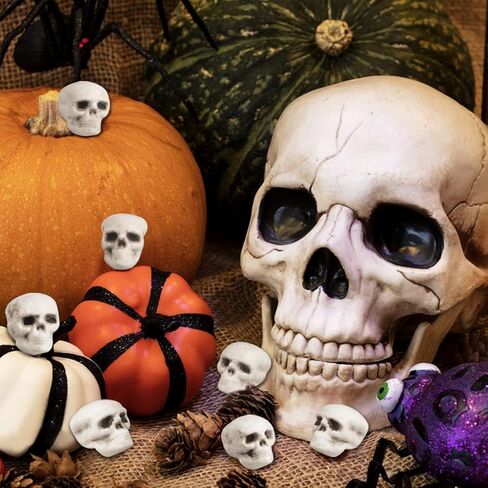 20 قطعة من جماجم الهالوين ذات مظهر واقعي، رؤوس جماجم صغيرة مخيفة للهالوين هيكل عظمي بشري جمجمة رأس جمجمة بلاستيكية لحفلات الهالوين ديكور طاولة المقبرة، منزل مسكون، لوازم صور الدعامة in Kuwait