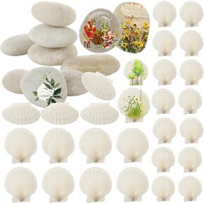 YAYODS Scallop Shells for Crafts Large Sea Shells for Decorating White Large Seashells for Craft Painting Decoration (15Pcs 2"-3" Scallop Shells+15Pcs 3"-4" Scallop Shells+20Pcs 2"-3" Painting Rocks)