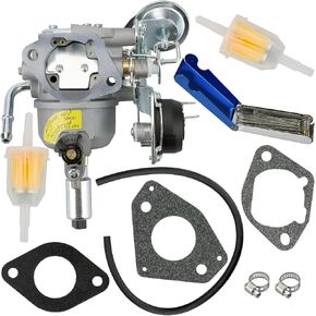 541-0765 Carburetor for Onan 5500 7000 Marquis Gold Generator Onan QG 5500 HGJAB HGJAA 5.5 HGJ Series RV Generator Replace A043B781 0541-0765 146-0774 141-0982 141-0983