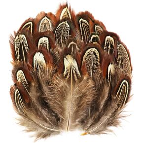 50Pcs 5-8cm Natural Pheasant Feathers Natural Feathers for DIY Dream Catchers Wedding Birthday Hair Hats Crafts Party Cosplay Decorations