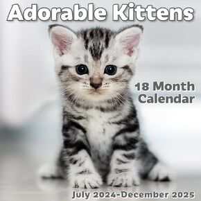 EcoEarth Biodegradable 11x17 Inch (Open) 18-Month Vertical Hanging Wall Calendar, National Parks Jul 2024 - Dec 2025 Monthly Calendar