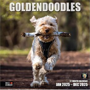 تقويم جداري شهري قابل للتعليق من RED EMBER German Shepherds 2025 | 12 بوصة × 24 بوصة مفتوح | ورق سميك وقوي | هدية
