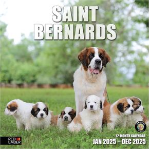 RED EMBER Rottweilers 2025 Wall Calendar 12 Month | 12" x 24" Open | Thick & Sturdy Paper | Giftable | Calendar 2025