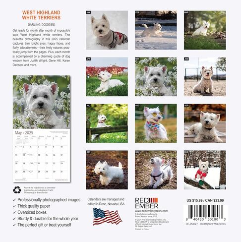 RED EMBER Sit Happens: Dog Memes 2026 Wall Calendar 12 Month | Thick & Sturdy Paper | Holiday Gift | Puppy Funny Dog Calendar 2026 in Saudi Arabia