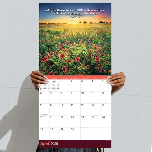 TF PUBLISHING 2025 Psalms Wall Calendar | Large Grids for Appointments and Scheduling | Vertical Monthly Wall Calendar 2025 | Home & Office Organization | Thick Gloss Paper | 12"x12" in Saudi Arabia