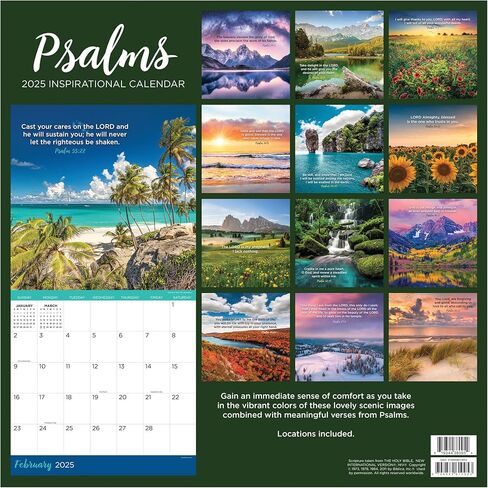 TF PUBLISHING 2025 Psalms Wall Calendar | Large Grids for Appointments and Scheduling | Vertical Monthly Wall Calendar 2025 | Home & Office Organization | Thick Gloss Paper | 12"x12" in Saudi Arabia