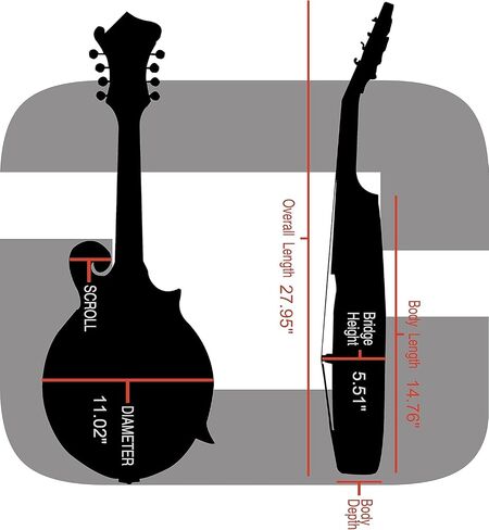 Crossrock ABS Hardshell Case-Fits Most A-Style Mandolins, with Interior Compartment, Backpack Straps-Silver (CRA862MASL) in Saudi Arabia