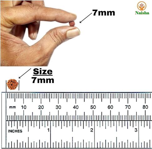 NAISHA Rudraksha Stretchable Bracelet Rudraksha 5 mukhi Paanch mukhi 5 face Bracelet for Meditation Yoga 8 mm Size in Saudi Arabia
