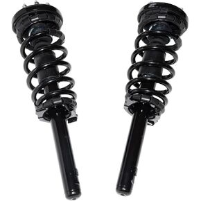 Front Pair Complete Struts with Coil Spring Assembly Compatible with 1998-2002 Honda Accord 171691R 171691L Shock Absorber Left & Right Side