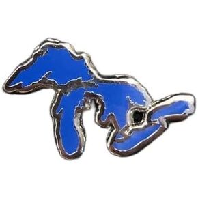 Michigan Great Lakes Smooth Finish Enamel Pin, Cast and filled cloisonne Lapel Pins for clothing, backpacks, denim jackets & fabric 1" x 1"