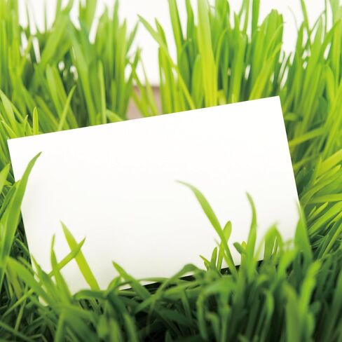 100 Sheets blank cardstock 2 x 3.5 In Heavy Weight business Card Stock in Kuwait