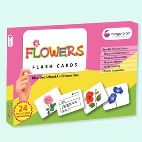 Pack of 10 Basics hungry brain Toddler Flash Cardss, Double-Sided Flash Cards for Toddlers 1-4 Years, 240 Real Image Cards, Montessori Toys, Educational Preschool Learning Activities for Kids