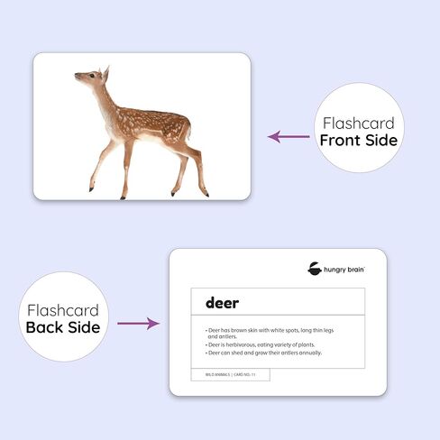 حزمة من 10 بطاقات فلاش أساسية للأطفال الصغار، بطاقات فلاش مزدوجة الجوانب للأطفال الصغار من عمر 1 إلى 4 سنوات، 240 بطاقة صورة حقيقية، ألعاب مونتيسوري، أنشطة تعليمية تعليمية لمرحلة ما قبل المدرسة للأطفال in Kuwait