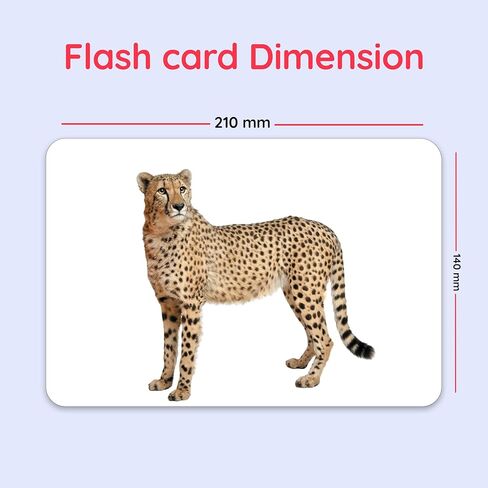 حزمة من 10 بطاقات فلاش أساسية للأطفال الصغار، بطاقات فلاش مزدوجة الجوانب للأطفال الصغار من عمر 1 إلى 4 سنوات، 240 بطاقة صورة حقيقية، ألعاب مونتيسوري، أنشطة تعليمية تعليمية لمرحلة ما قبل المدرسة للأطفال in Kuwait