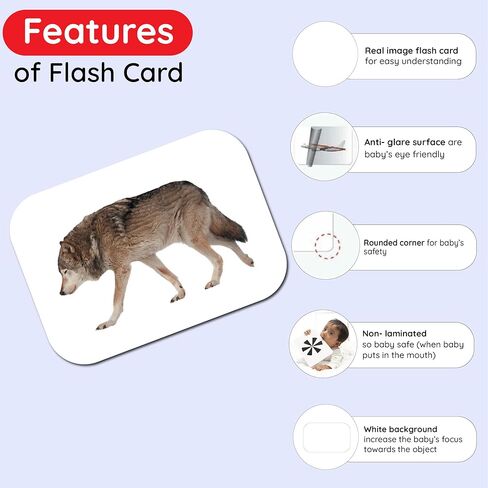 حزمة من 10 بطاقات فلاش أساسية للأطفال الصغار، بطاقات فلاش مزدوجة الجوانب للأطفال الصغار من عمر 1 إلى 4 سنوات، 240 بطاقة صورة حقيقية، ألعاب مونتيسوري، أنشطة تعليمية تعليمية لمرحلة ما قبل المدرسة للأطفال in Kuwait