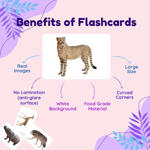 حزمة من 10 بطاقات فلاش أساسية للأطفال الصغار، بطاقات فلاش مزدوجة الجوانب للأطفال الصغار من عمر 1 إلى 4 سنوات، 240 بطاقة صورة حقيقية، ألعاب مونتيسوري، أنشطة تعليمية تعليمية لمرحلة ما قبل المدرسة للأطفال in Kuwait