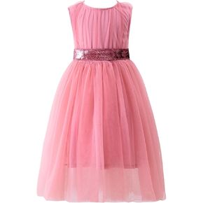 Toddler Girl Tutu Dress Sleeveless A-Line Tulle Summer Dresses Party Casual Sundress with Belt