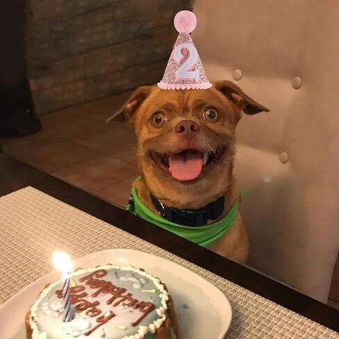 قبعة مخروطية لعيد الميلاد الثاني، قبعة عيد ميلاد بيضاء لامعة مع قبعة قوس قزح لعيد الميلاد باللون الوردي لحفلة عيد الميلاد، قبعة دعائم صور عيد ميلاد لامعة للأولاد والبنات in Kuwait