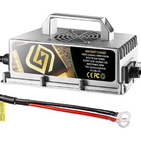 43.8Volt 18Amp 36V18A Lithium Batteries LiFePO4 12s<38.4V> Nominal DC Output 36V 38.4V Lithium Battery Charger