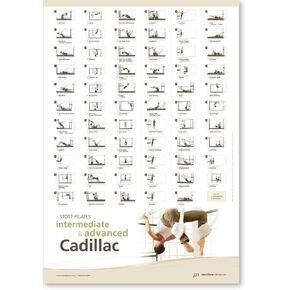 STOTT PILATES Wall Chart