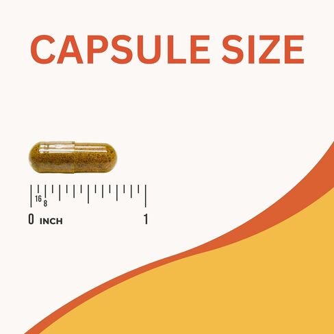 Ayurveda Boswellia Extract Capsules | 4 Months Supply | Boswellic 65% Acids | Non-GMO | Vegan | 120 Capsules in Saudi Arabia