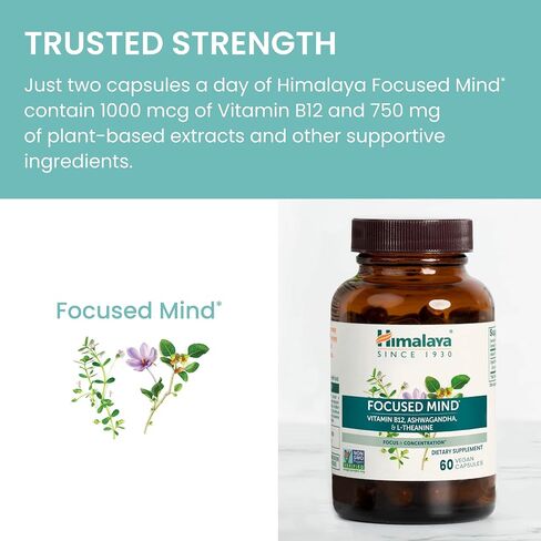 Himalaya Focused Mind with Ashwagandha, Bacopa & L-Theanine for Focus, Energy and Attention, 60 Capsules, 1 Month Supply, Vegan, Gluten Free in Saudi Arabia