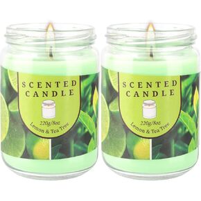 Mother's Day Scented Candles Gifts Set 16 Pack Soy Wax Travel Tin Jar Candles for Home 2.5 OZ Aromatherapy Candles for Mom for Christmas, Birthday, Thanksgiving, Mother's Day