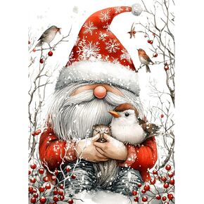 AIRDEA Diamond Art Paintings Kits for Adults,Gnome Diamond Art Kits for Adults,12x16 Inch DIY Diamond Art Paintings Kits Bird,Animal and Gnome Diamond Art Painting Set for Beginner