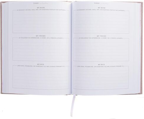 Graphique Self-Care Journal - Punch Today in the Face - 256 Pages - Weekly Quote & Daily Fill in Interiors - Hardbound Fabric Cover - Ribbon Marker (6" x 8") in Saudi Arabia