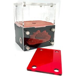 Ant Nest, Ant House, Ant Nest for ant Farm, Ant Behavior Study House, Small Ant House.
