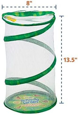 Butterfly Mini Garden Gift Set with Live Cup of Caterpillars – Life Science & STEM Education - Best Birthday Gift, for Boys & Girls Age 4 5 6 7 8 Years Old in Saudi Arabia