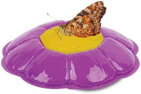 Butterfly Mini Garden Gift Set with Live Cup of Caterpillars – Life Science & STEM Education - Best Birthday Gift, for Boys & Girls Age 4 5 6 7 8 Years Old in Saudi Arabia