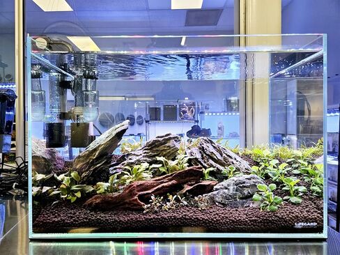 17 Gallon Low Iron Glass Rimless Aquarium 6mm - (23.62" x 11.81" x 14.17") in Saudi Arabia
