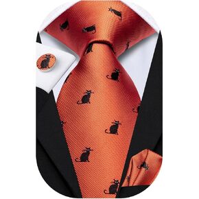 Dubulle Mens Paisely Silk Tie for Men Necktie and Pocket Square Set