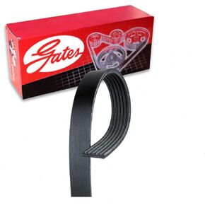 Gates Micro-V Serpentine Belt compatible with Jeep Grand Cherokee 3.6L V6 2011-2015