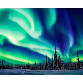 Rebotipy Painting by Numbers Kit for Adults Green Northern Lights Paint by Numbers for Beginner,Oil Painting Night Winter Landscape with Aurora for Home Decor 16x20 Inch