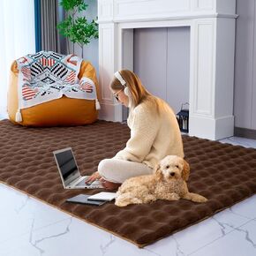 Area Rugs Camel 6x9 Fluffy Fuzzy Shag Shaggy Carpet for Bedroom Living Room, Ultra Soft Plush Rugs for Kids Boys Girls Dorm Nursery, Upgrade Anti-Skid Carpet