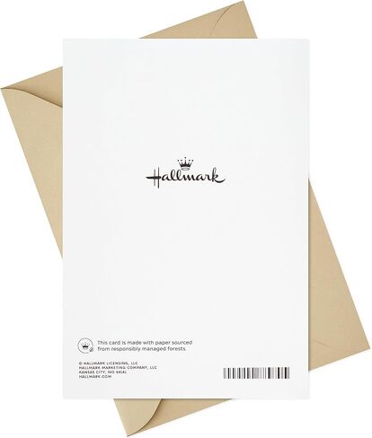 Hallmark Elegant Thanksgiving Cards (4 Cards with Envelopes, Single Design) Turkey in Saudi Arabia