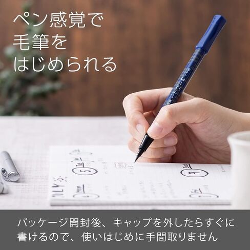 قلم فرشاة Pentel XGFD40CA1-A، فرشاة Pentel، نمط الريشة in Saudi Arabia