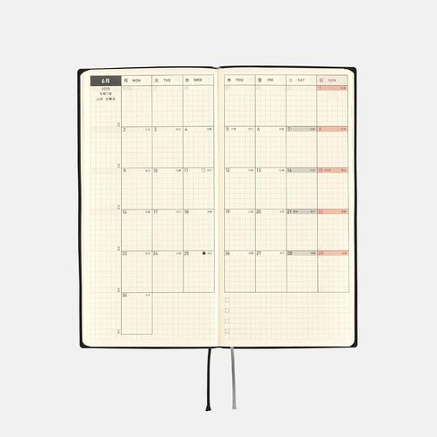 Hobonichi Techo 2025 Weeks [إنجليزي/طويل ونحيف الحجم/بداية يناير/مخطط] الخط الأبيض: عاجي in Saudi Arabia