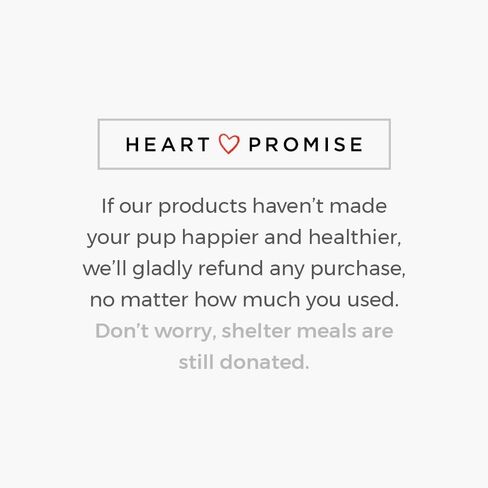 iHeartDogs Home for The Holidays Christmas Musical، Water Glittering Dog Snow Globe - يلعب 7 أغاني عطلة تقليدية بما في ذلك أجراس جلجل وأضواء متغيرة الألوان in Kuwait