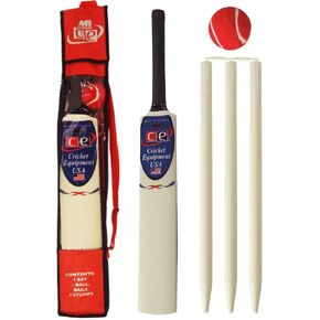 مجموعة مضرب الكريكيت للصغار هدية خشبية مقاس 4، 6 تتضمن حقيبة حمل مضرب الكريكيت in Kuwait